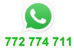 logo whatsapp
